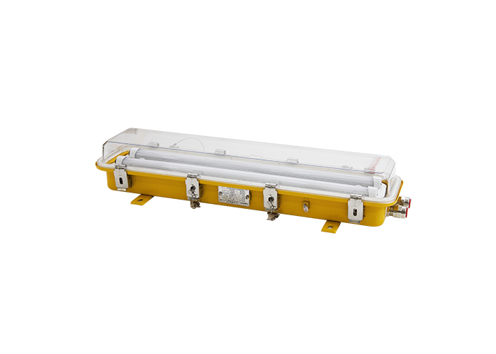 LED explosion-proof pendant light  CFL18