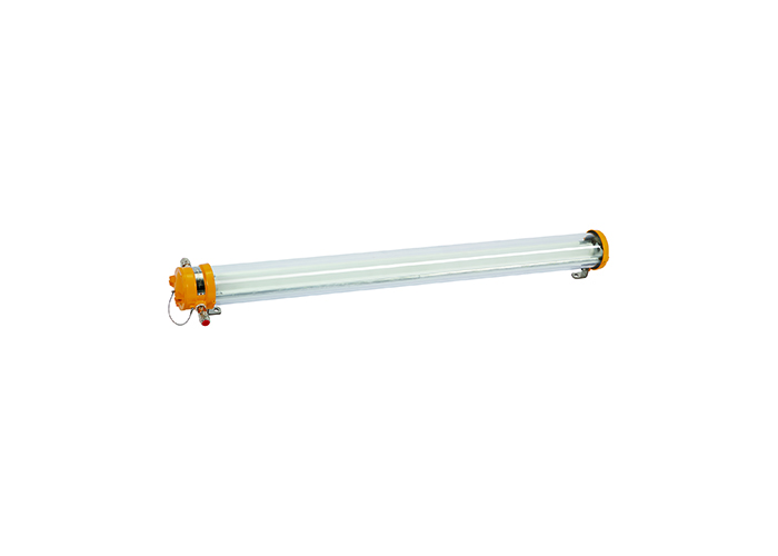 LED explosion-proof pendant light  CFY20-2D
