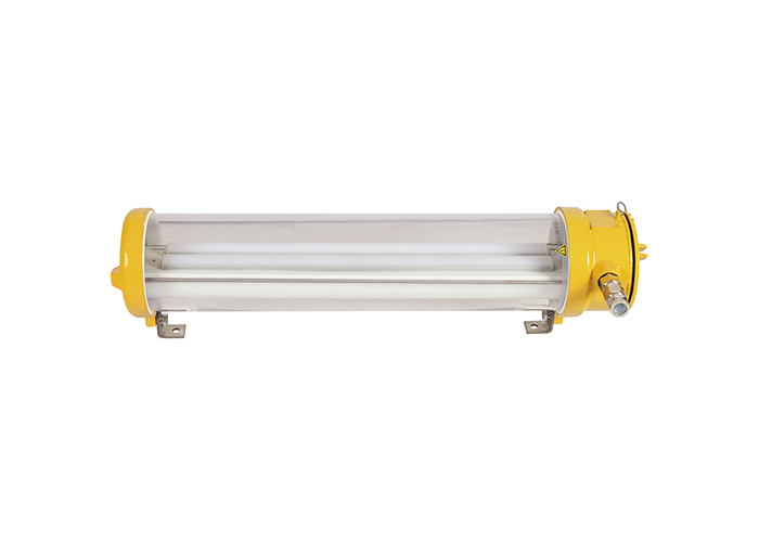 LED explosion-proof pendant light  CFY20-2L
