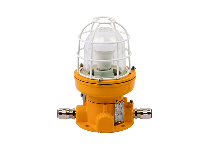 explosion-proof light  CFD1
