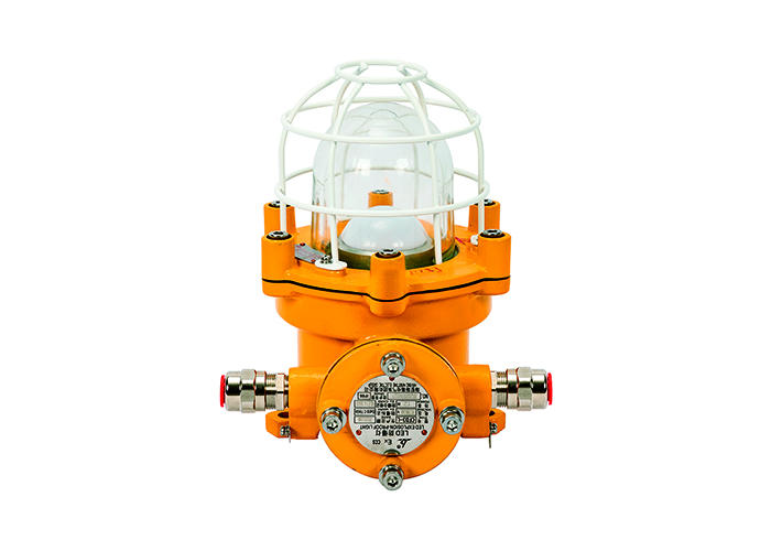 explosion-proof light  CFD3-I