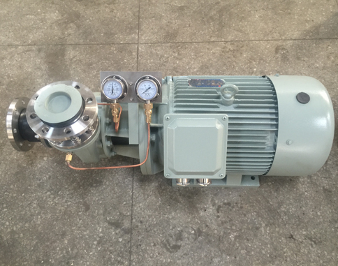 Marine Horizontal Self-Priming Crushing pump CWFZ